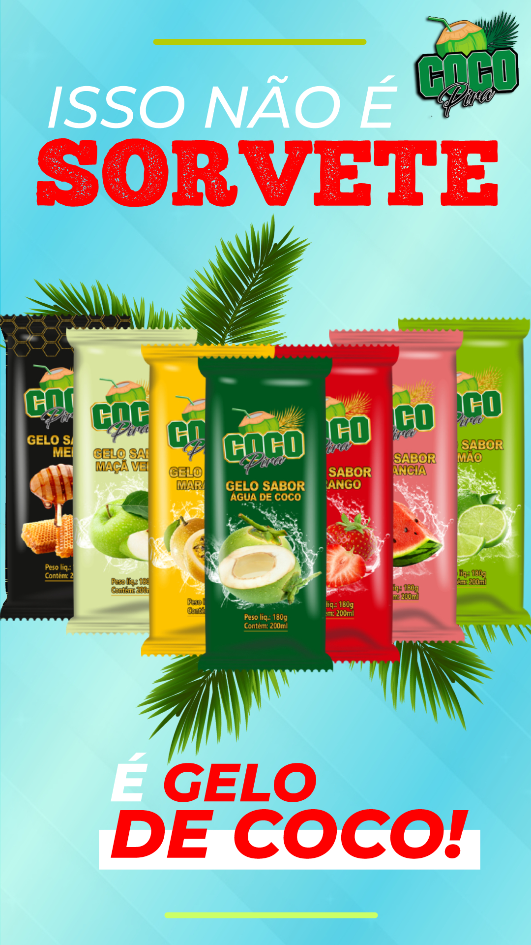 Gelo Coco Leve Sabor Água de Coco 200ml